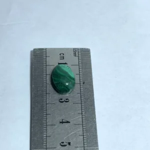 Natural Malachite 10.95 Carat Loose Gemstone